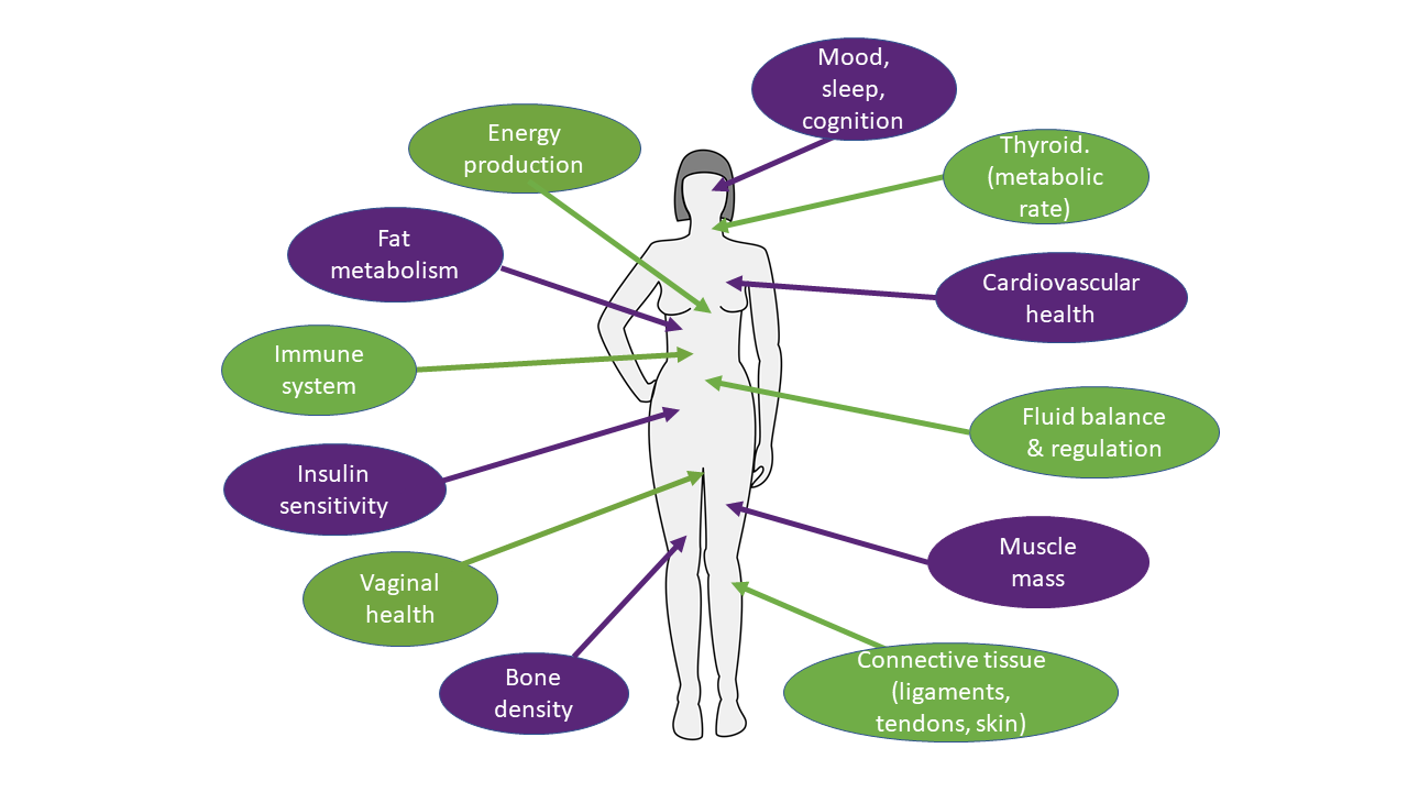 List Of Hormones In Human Body Pdf