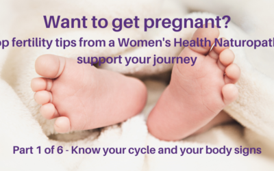 Fertility Support – part 1 of a 6 part blog